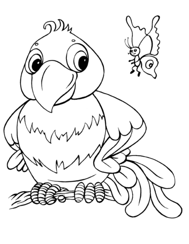 Parrot And Butterfly Coloring Page